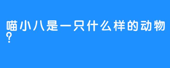 喵小八是一只什么样的动物？