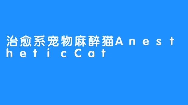 治愈系宠物麻醉猫AnestheticCat