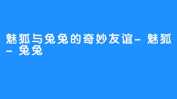 魅狐与兔兔的奇妙友谊