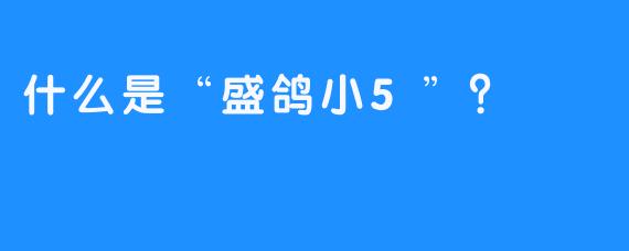 什么是“盛鸽小5”？