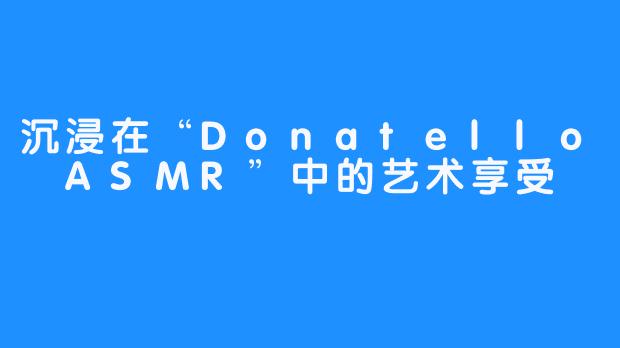 沉浸在“Donatello ASMR”中的艺术享受