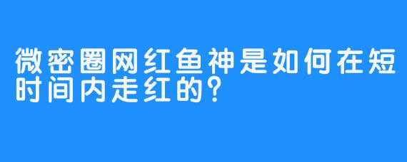 微密圈网红鱼神是如何在短时间内走红的？