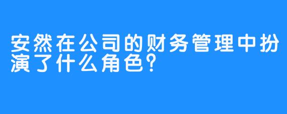 安然在公司的财务管理中扮演了什么角色？